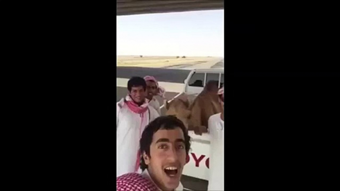 Have you Ever Seen a Camel Laughing, Funny video