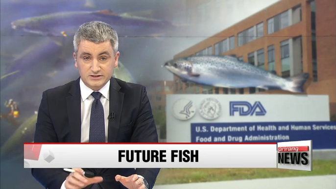 U.S. FDA approves genetically modified salmon for human consumption