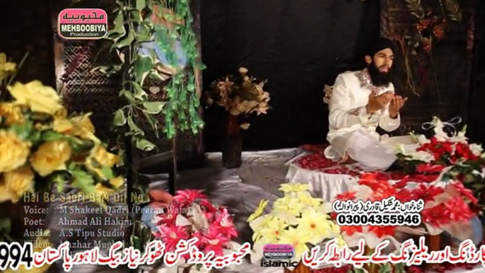 Hai Be Sabri bari Dil Nu by shakeel qadri new naat album 2015