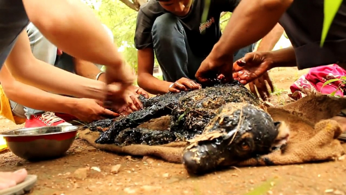 Covered in tar & unable to move, this amazing rescue saved this dogs life!