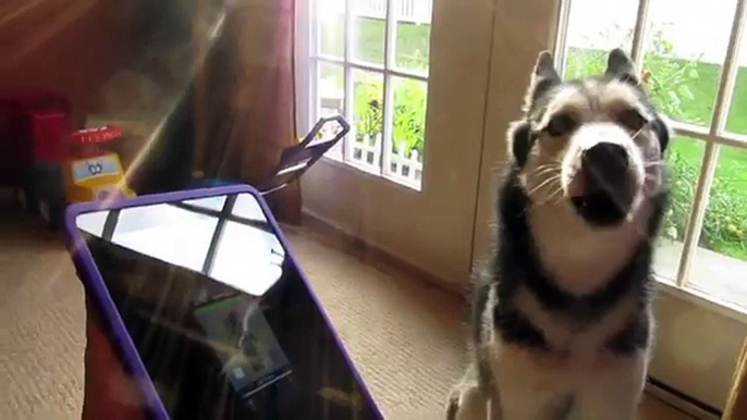 Mishka Sings with iPad 2 - Better than Rebecca Black! (now on iTunes!)