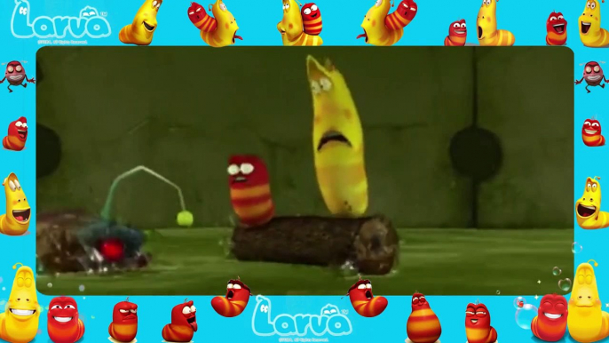 Larva funny cartoon [ Larva New Full Episodes 39 ] larva 2015 | lover lavar