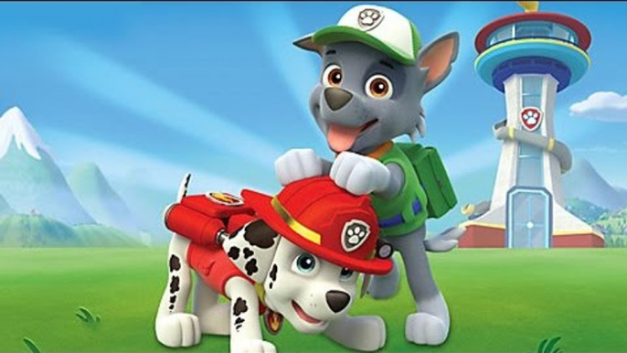 Paw Patrol Espanol Games Birthday Christmas 2015, Paw Patrol Episodes Eggs Cake Names Full_1