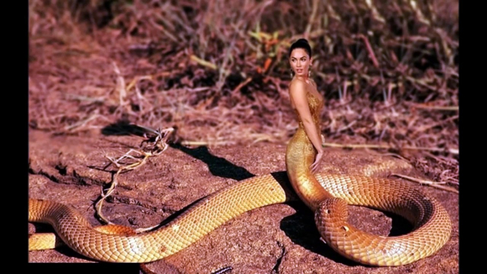 Half Snake Half Woman Found