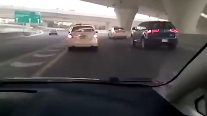 Road racing camel. Funny camel runs on highway