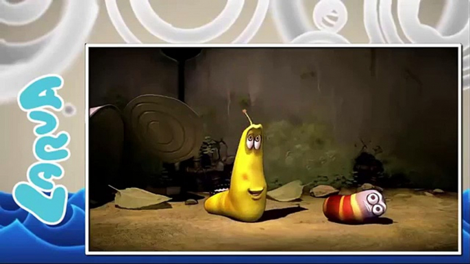 Larva Season 1 Episode 1 Very Funny Cartoon Ever!