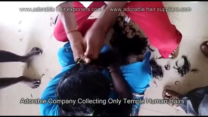 Indian Human Hair Exporters | Cheap extensions | Lace wigs | Weave | Curly hair suppliers