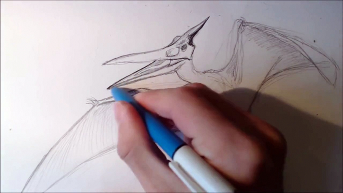 Drawing Jurassic World Pteranodon