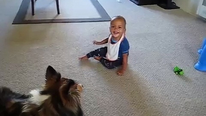 Dog Making Babies Laugh Compilation