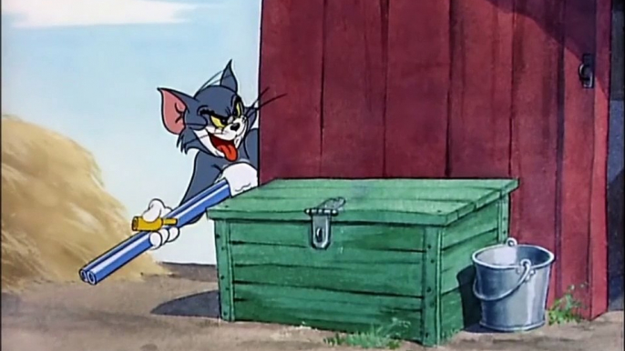 Tom and Jerry : Little Quacker (1950)