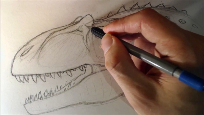 Dinosaur Drawing Tips Scaling Allosaurus Head part 2