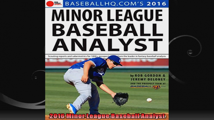 2016 Minor League Baseball Analyst