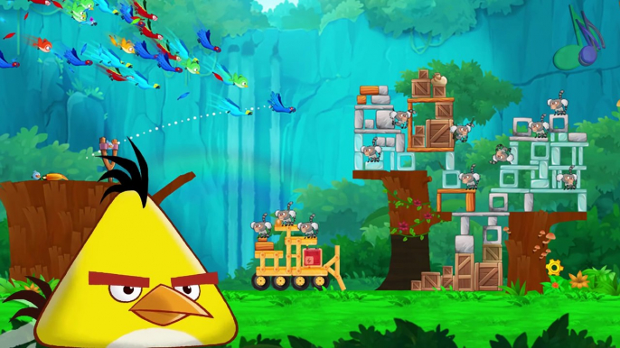 Angry Birds Finger Family Children   Nursery Rhymes Dancing   Finger Family HD