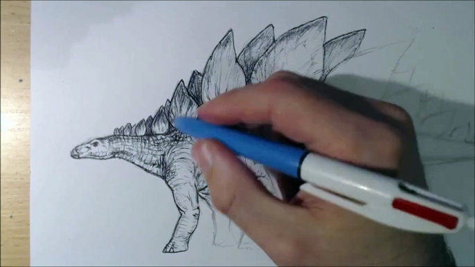 Drawing Stegosaurus Using Ballpoint Pen Timelapse