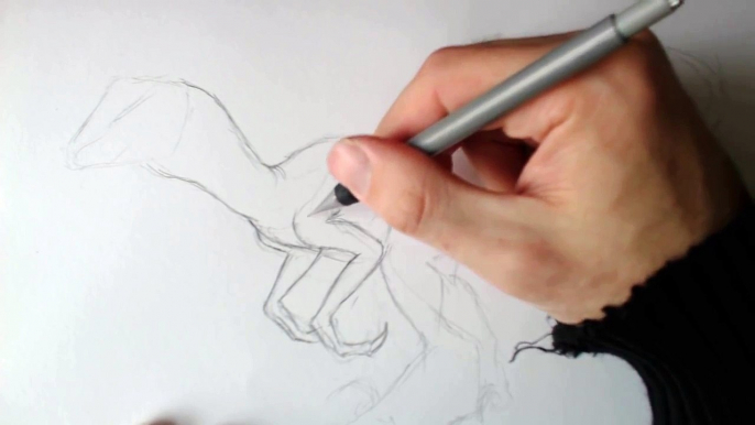 Drawing A Velociraptor from Jurassic Park Drawing Dinosaur Skin Part 1