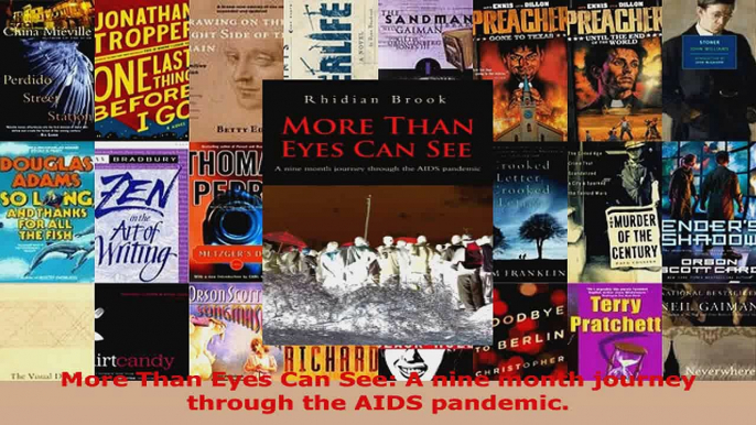 Read  More Than Eyes Can See A nine month journey through the AIDS pandemic EBooks Online