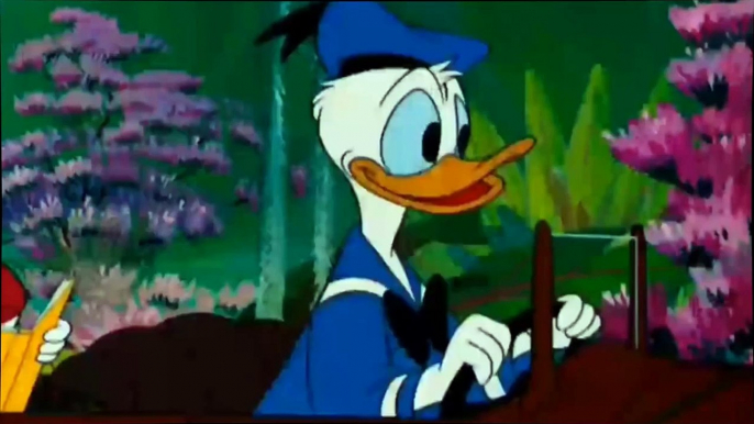 PLUTO & Donald Duck Cartoon / Goofy, Chip and Dale, Donald Duck Cartoons Compilation 2015 HD