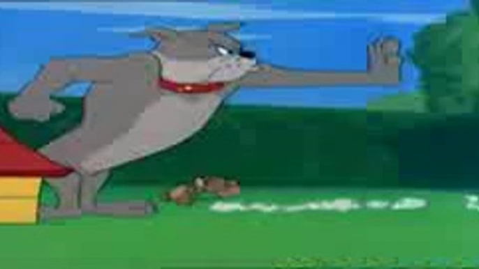 TOM & JERRY Cartoons 2016