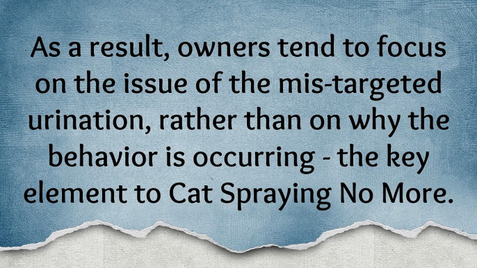 Cats Spraying No More