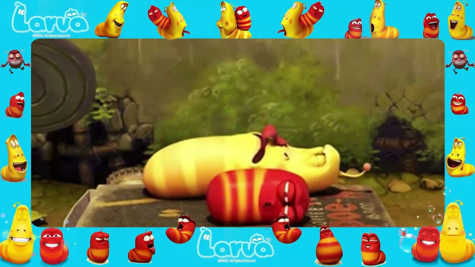 Larva funny cartoon [ Larva New Full Episodes 82 ] larva 2015 | lover lavar