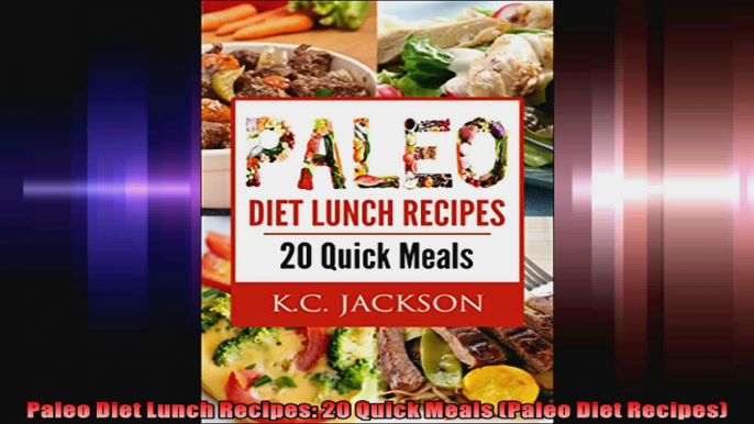 Paleo Diet Lunch Recipes 20 Quick Meals Paleo Diet Recipes