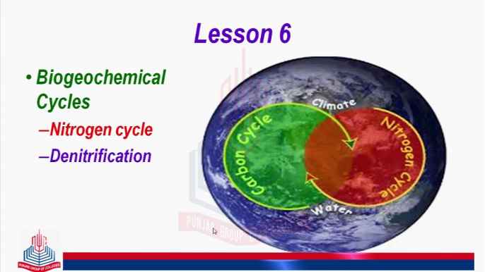 Biogeochemical Cycle