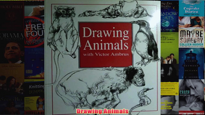 Drawing Animals