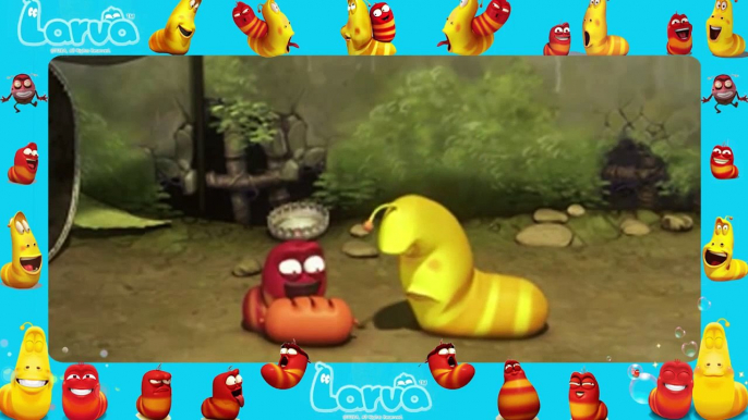 Larva funny cartoon [ Larva New Full Episodes 54] larva 2015 | lover lavar