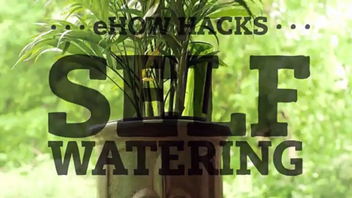 Make a Self-Watering Planter With an Empty Wine Bottle