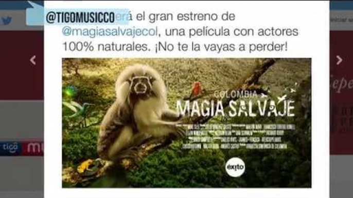 #Trending: "Colombia Magia Salvaje": la biodiversidad en todo su esplendor