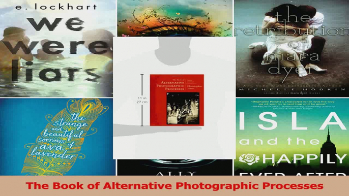 Read  The Book of Alternative Photographic Processes EBooks Online