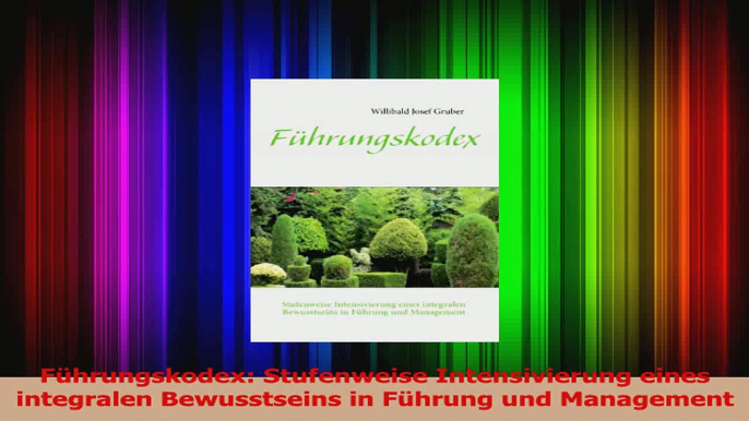 Download  Führungskodex Stufenweise Intensivierung eines integralen Bewusstseins in Führung und Ebook Online