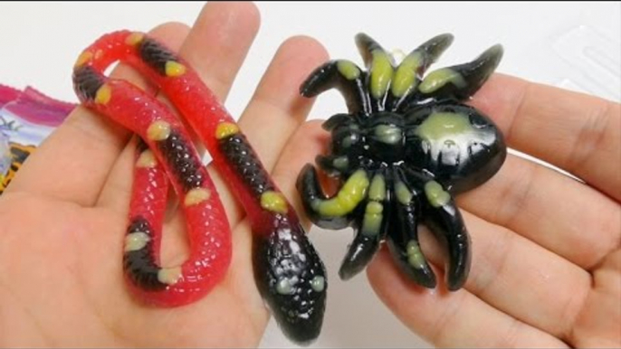 Creepy Spiders & Creepy Snakes Surprise Candies & Toys