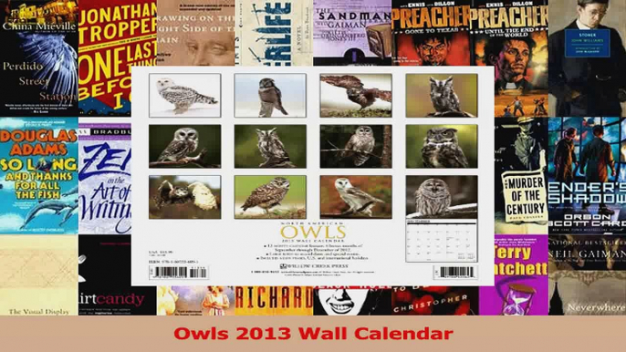 Read  Owls 2013 Wall Calendar Ebook Free