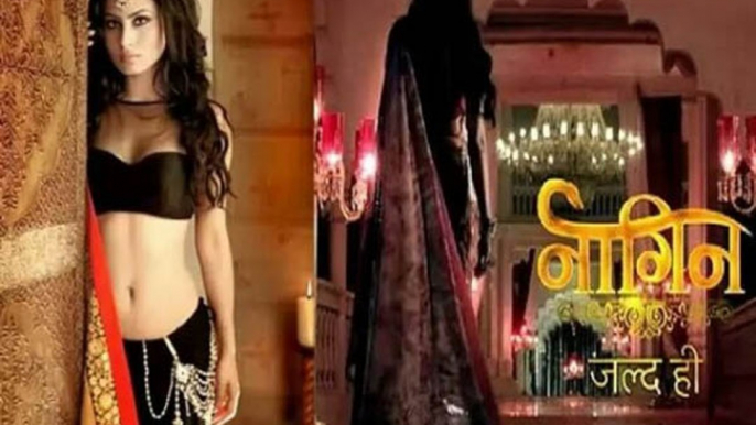 Naagin - 20th December 2015 - नागिन - Full On Location Episode _ Colors Tv Hindi Serial News 2015 - YouPlay _ Pakistan's fastest video portal