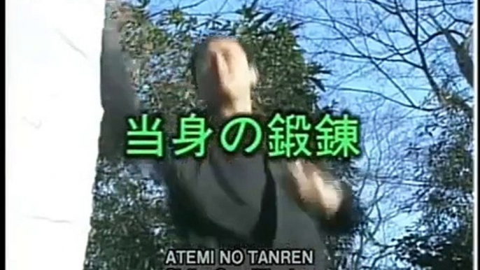 Técnicas de Ninjutsu de Masaaki Hatsumi