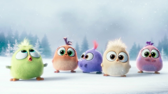 The Angry Birds Movie - Seasons Greetings from the Hatchlings!