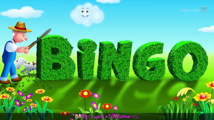 BINGO Dog Song - Nursery Rhyme With Lyrics - Cartoon Animation Rhymes & Songs for Children