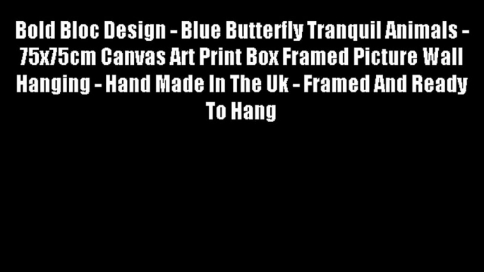 Bold Bloc Design - Blue Butterfly Tranquil Animals - 75x75cm Canvas Art Print Box Framed Picture