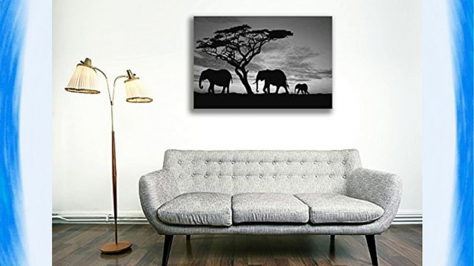 Canvas Culture - Elephant Landscape Canvas Art Print Box Framed Picture 7 Black