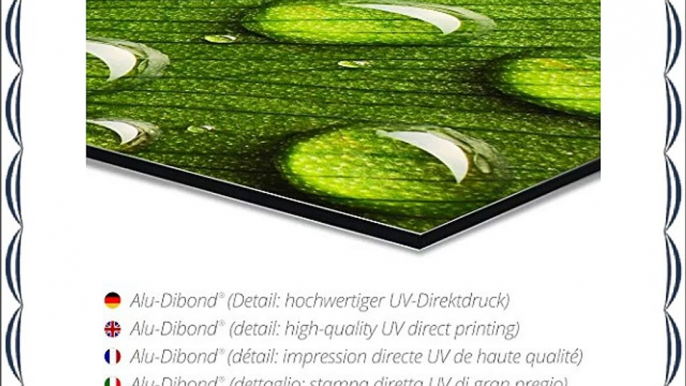 Alu Dibond 100 x 50 cm: Dubai Skyline by Stefan Sch?fer