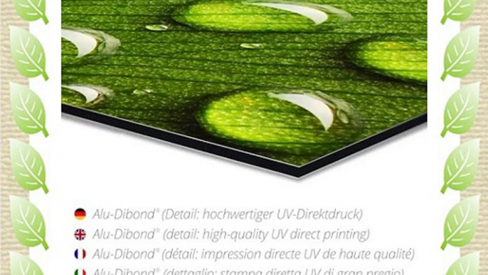 Alu Dibond 100 x 70 cm: picturesque L?beck by Joachim G. Pinkawa