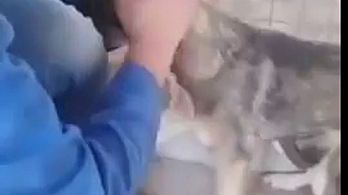 Abused Dog Being Petted For The First Time Will Break Your Heart