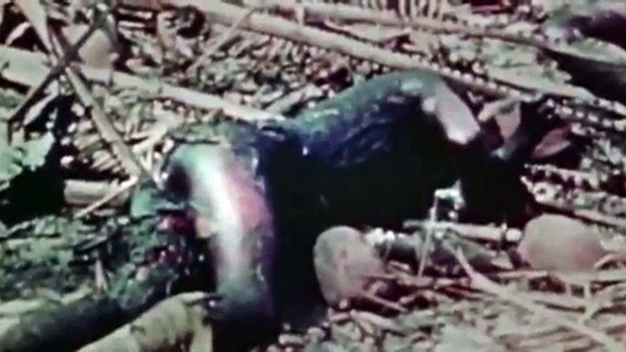 The World At War 1973(World War II Documentary) 23 Pacific (February 1942 – July 19