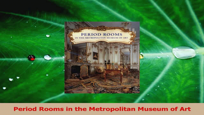 Read  Period Rooms in the Metropolitan Museum of Art Ebook Free