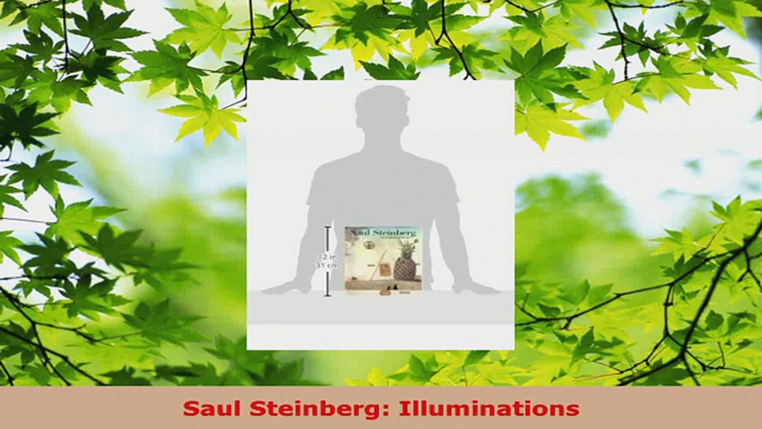 Download  Saul Steinberg Illuminations EBooks Online