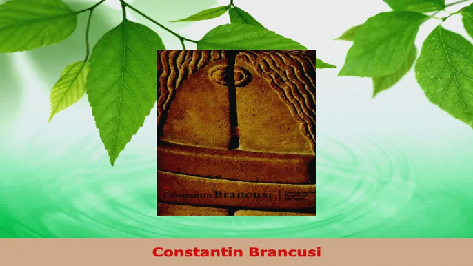 Read  Constantin Brancusi Ebook Free