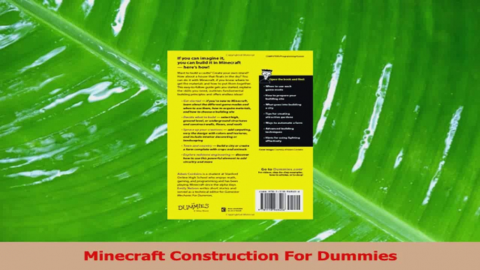 PDF Download  Minecraft Construction For Dummies PDF Full Ebook