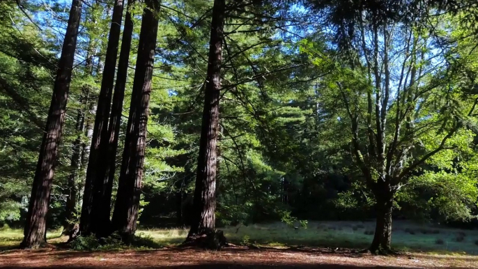 Empire Speeder Bikes flying on Drones with FPV Cameras are awesome!