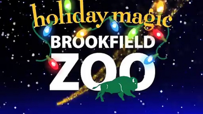 Holiday Magic at Brookfield Zoo - 30 second commercial